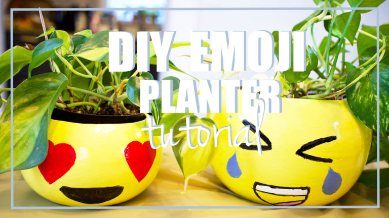 DIY Emoji Planter