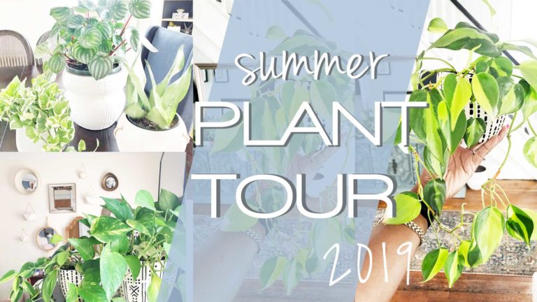 PLANT TOUR